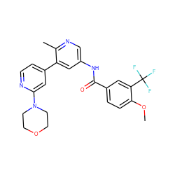 COc1ccc(C(=O)Nc2cnc(C)c(-c3ccnc(N4CCOCC4)c3)c2)cc1C(F)(F)F ZINC000220661755