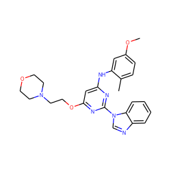 COc1ccc(C)c(Nc2cc(OCCN3CCOCC3)nc(-n3cnc4ccccc43)n2)c1 ZINC000034985741