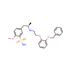 COc1ccc(C[C@@H](C)NCCOc2ccccc2OCc2ccccc2)cc1S(N)(=O)=O ZINC000066258858