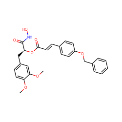 COc1ccc(C[C@H](OC(=O)/C=C/c2ccc(OCc3ccccc3)cc2)C(=O)NO)cc1OC ZINC000095590999