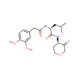 COc1ccc(CC(=O)N[C@@H](CC(C)C)C(=O)N[C@@H]2CCOCC2=O)cc1OC ZINC000026148000