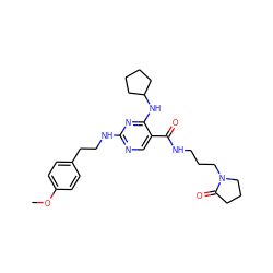 COc1ccc(CCNc2ncc(C(=O)NCCCN3CCCC3=O)c(NC3CCCC3)n2)cc1 ZINC000095594185