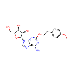 COc1ccc(CCOc2nc(N)c3ncn([C@@H]4O[C@H](CO)[C@@H](O)[C@H]4O)c3n2)cc1 ZINC000013815157