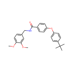 COc1ccc(CNC(=O)c2ccc(Oc3ccc(C(C)(C)C)cc3)cc2)cc1OC ZINC000013551597