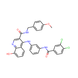 COc1ccc(CNC(=O)c2cnc3c(O)cccc3c2Nc2cccc(NC(=O)c3ccc(Cl)c(Cl)c3)c2)cc1 ZINC000049723347