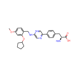 COc1ccc(CNc2cnc(-c3ccc(C[C@H](N)C(=O)O)cc3)cn2)c(OC2CCCC2)c1 ZINC000040895674