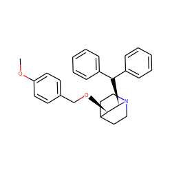 COc1ccc(CO[C@@H]2C3CCN(CC3)[C@@H]2C(c2ccccc2)c2ccccc2)cc1 ZINC000013744503