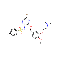COc1ccc(COc2nc(Br)cnc2NS(=O)(=O)c2ccc(C)cc2)cc1OCCN(C)C ZINC000003937727
