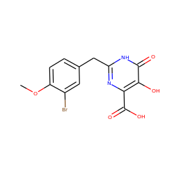 COc1ccc(Cc2nc(C(=O)O)c(O)c(=O)[nH]2)cc1Br ZINC000043022979