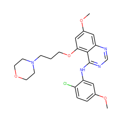 COc1ccc(Cl)c(Nc2ncnc3cc(OC)cc(OCCCN4CCOCC4)c23)c1 ZINC000014949394