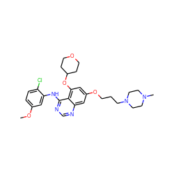 COc1ccc(Cl)c(Nc2ncnc3cc(OCCCN4CCN(C)CC4)cc(OC4CCOCC4)c23)c1 ZINC000022451814