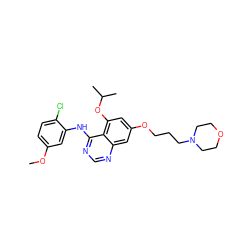 COc1ccc(Cl)c(Nc2ncnc3cc(OCCCN4CCOCC4)cc(OC(C)C)c23)c1 ZINC000014949408