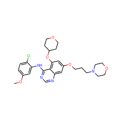 COc1ccc(Cl)c(Nc2ncnc3cc(OCCCN4CCOCC4)cc(OC4CCOCC4)c23)c1 ZINC000028563876