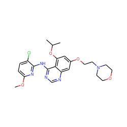 COc1ccc(Cl)c(Nc2ncnc3cc(OCCN4CCOCC4)cc(OC(C)C)c23)n1 ZINC000028564472