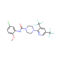 COc1ccc(Cl)cc1NC(=O)N1CCN(c2ncc(C(F)(F)F)cc2C(F)(F)F)CC1 ZINC000169348405