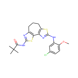 COc1ccc(Cl)cc1Nc1nc2c(s1)CCCc1nc(NC(=O)C(C)(C)C)sc1-2 ZINC000040954275