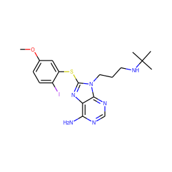 COc1ccc(I)c(Sc2nc3c(N)ncnc3n2CCCNC(C)(C)C)c1 ZINC000013679916