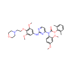 COc1ccc(N(C(=O)Oc2c(C)cccc2C)c2ccnc(Nc3cc(OC)c(OCCN4CCOCC4)c(OC)c3)n2)c(OC)c1 ZINC000036758580