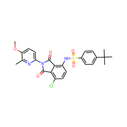 COc1ccc(N2C(=O)c3c(Cl)ccc(NS(=O)(=O)c4ccc(C(C)(C)C)cc4)c3C2=O)nc1C ZINC000653850085