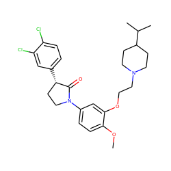 COc1ccc(N2CC[C@H](c3ccc(Cl)c(Cl)c3)C2=O)cc1OCCN1CCC(C(C)C)CC1 ZINC000040565490