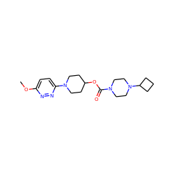 COc1ccc(N2CCC(OC(=O)N3CCN(C4CCC4)CC3)CC2)nn1 ZINC000223492822