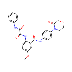 COc1ccc(NC(=O)C(=O)Nc2ccccc2)c(C(=O)Nc2ccc(N3CCOCC3=O)cc2)c1 ZINC000299862517