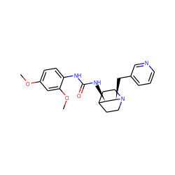 COc1ccc(NC(=O)N[C@@H]2C3CCN(CC3)[C@@H]2Cc2cccnc2)c(OC)c1 ZINC000028524538