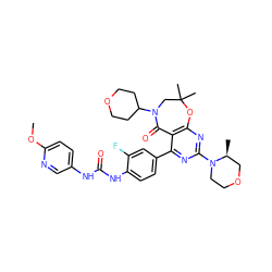 COc1ccc(NC(=O)Nc2ccc(-c3nc(N4CCOC[C@@H]4C)nc4c3C(=O)N(C3CCOCC3)CC(C)(C)O4)cc2F)cn1 ZINC000142200753