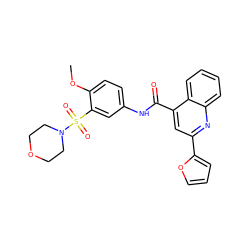 COc1ccc(NC(=O)c2cc(-c3ccco3)nc3ccccc23)cc1S(=O)(=O)N1CCOCC1 ZINC000009716140