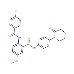 COc1ccc(NC(=O)c2ccc(Cl)cc2)c(C(=O)Nc2ccc(N3CCCCC3=O)cc2)c1 ZINC000299864790