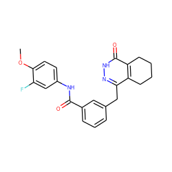 COc1ccc(NC(=O)c2cccc(Cc3n[nH]c(=O)c4c3CCCC4)c2)cc1F ZINC000167721390