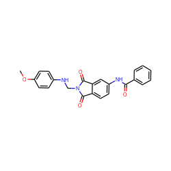 COc1ccc(NCN2C(=O)c3ccc(NC(=O)c4ccccc4)cc3C2=O)cc1 ZINC000653718841