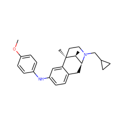 COc1ccc(Nc2ccc3c(c2)[C@@]2(C)CCN(CC4CC4)[C@@H](C3)[C@@H]2C)cc1 ZINC000027987884