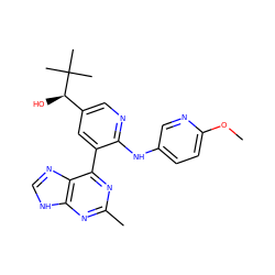 COc1ccc(Nc2ncc([C@@H](O)C(C)(C)C)cc2-c2nc(C)nc3[nH]cnc23)cn1 ZINC000113148395