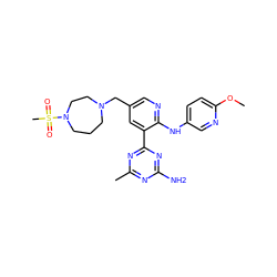 COc1ccc(Nc2ncc(CN3CCCN(S(C)(=O)=O)CC3)cc2-c2nc(C)nc(N)n2)cn1 ZINC000095553641