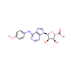 COc1ccc(Nc2ncnc3c2ncn3[C@H]2O[C@H](C(=O)O)[C@@H](O)[C@H]2O)cc1 ZINC000048998623