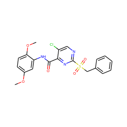 COc1ccc(OC)c(NC(=O)c2nc(S(=O)(=O)Cc3ccccc3)ncc2Cl)c1 ZINC000008916939