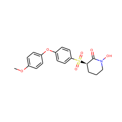 COc1ccc(Oc2ccc(S(=O)(=O)[C@@H]3CCCN(O)C3=O)cc2)cc1 ZINC000029129907