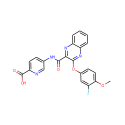 COc1ccc(Oc2nc3ccccc3nc2C(=O)Nc2ccc(C(=O)O)nc2)cc1F ZINC000143242302