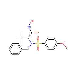 COc1ccc(S(=O)(=O)N(Cc2ccccc2)[C@@H](C(=O)NO)C(C)(C)C)cc1 ZINC000013764127