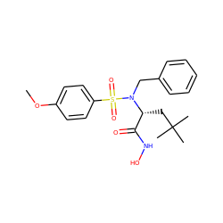 COc1ccc(S(=O)(=O)N(Cc2ccccc2)[C@H](CC(C)(C)C)C(=O)NO)cc1 ZINC000013764149