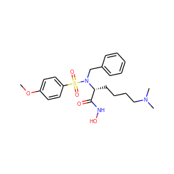 COc1ccc(S(=O)(=O)N(Cc2ccccc2)[C@H](CCCCN(C)C)C(=O)NO)cc1 ZINC000013764138