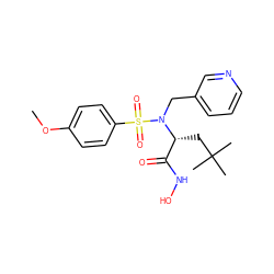 COc1ccc(S(=O)(=O)N(Cc2cccnc2)[C@H](CC(C)(C)C)C(=O)NO)cc1 ZINC000013764169