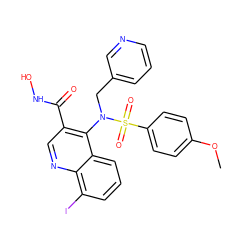 COc1ccc(S(=O)(=O)N(Cc2cccnc2)c2c(C(=O)NO)cnc3c(I)cccc23)cc1 ZINC000029306525