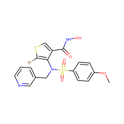 COc1ccc(S(=O)(=O)N(Cc2cccnc2)c2c(C(=O)NO)csc2Br)cc1 ZINC000026493795