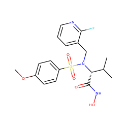 COc1ccc(S(=O)(=O)N(Cc2cccnc2F)[C@@H](C(=O)NO)C(C)C)cc1 ZINC000028865133