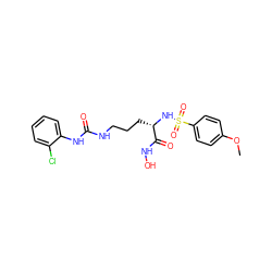 COc1ccc(S(=O)(=O)N[C@@H](CCCNC(=O)Nc2ccccc2Cl)C(=O)NO)cc1 ZINC000026178854