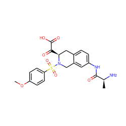 COc1ccc(S(=O)(=O)N2Cc3cc(NC(=O)[C@H](C)N)ccc3C[C@@H]2C(=O)C(=O)O)cc1 ZINC000013797800