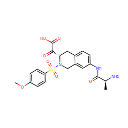 COc1ccc(S(=O)(=O)N2Cc3cc(NC(=O)[C@H](C)N)ccc3C[C@H]2C(=O)C(=O)O)cc1 ZINC000027519923