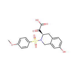 COc1ccc(S(=O)(=O)N2Cc3cc(O)ccc3C[C@@H]2C(=O)C(=O)O)cc1 ZINC000013797830